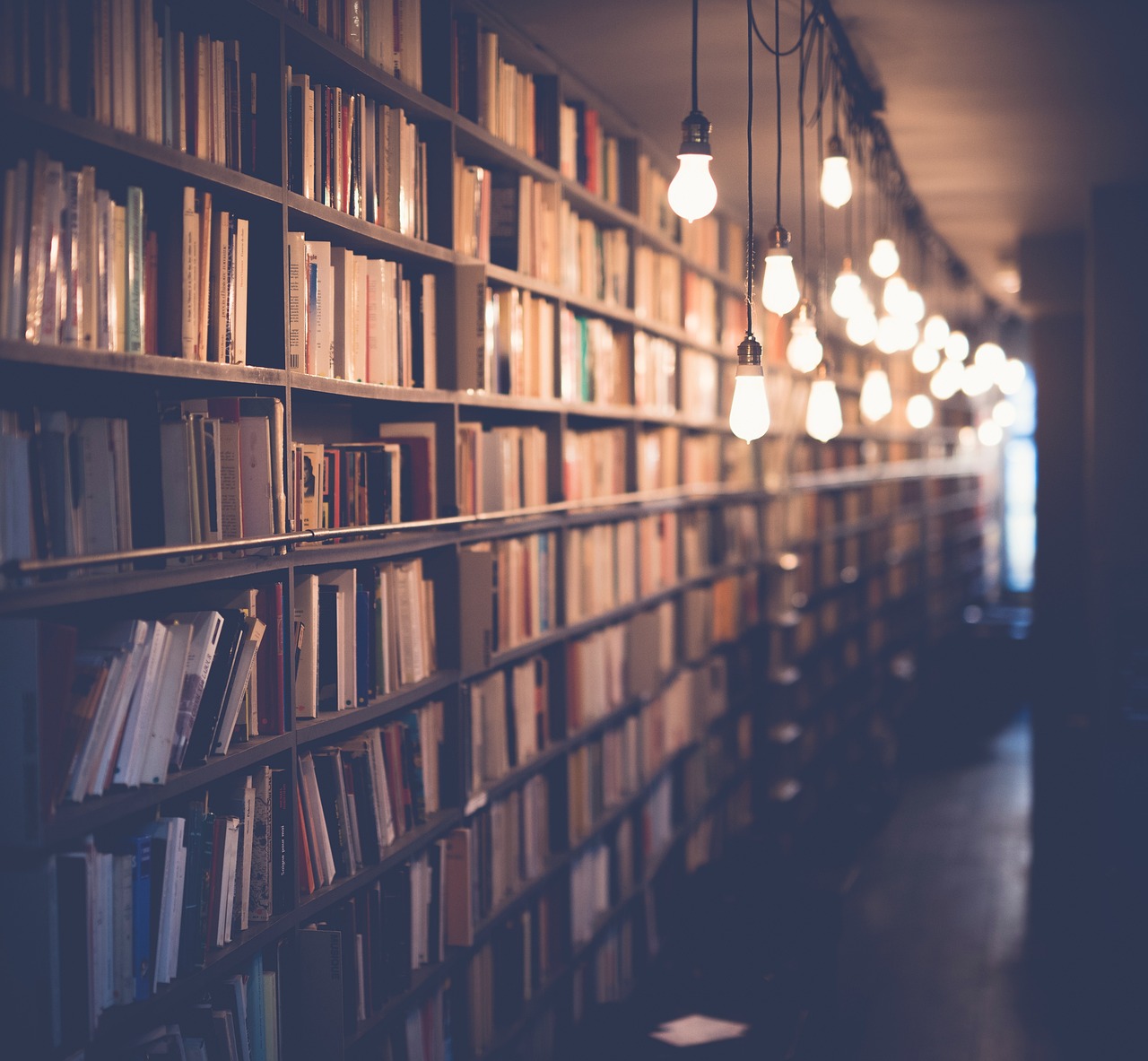Welche Bedeutung hat Bildung in einer sich schnell wandelnden Welt?