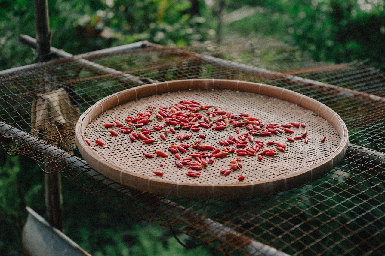 entdecken sie die kunst des kochens mit köstlichen rezepten, einfachen techniken und inspirierenden ideen für jede gelegenheit. lassen sie ihrer kreativität freien lauf in der küche!